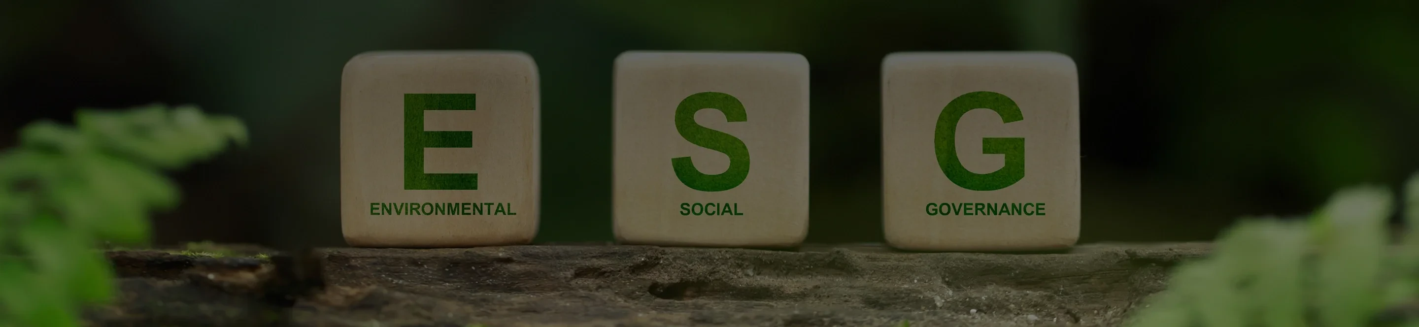 ESG Index