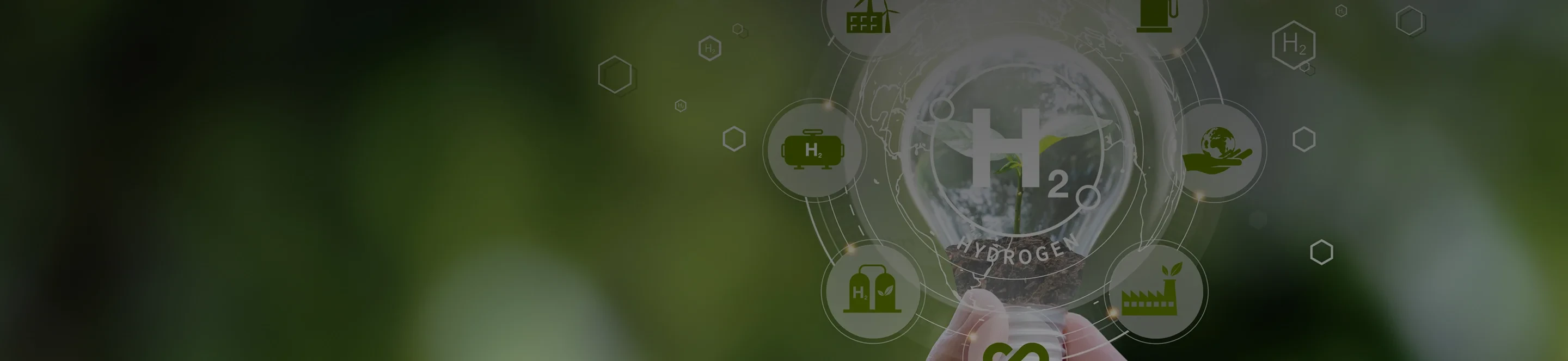 Sustainability Management and Strategy