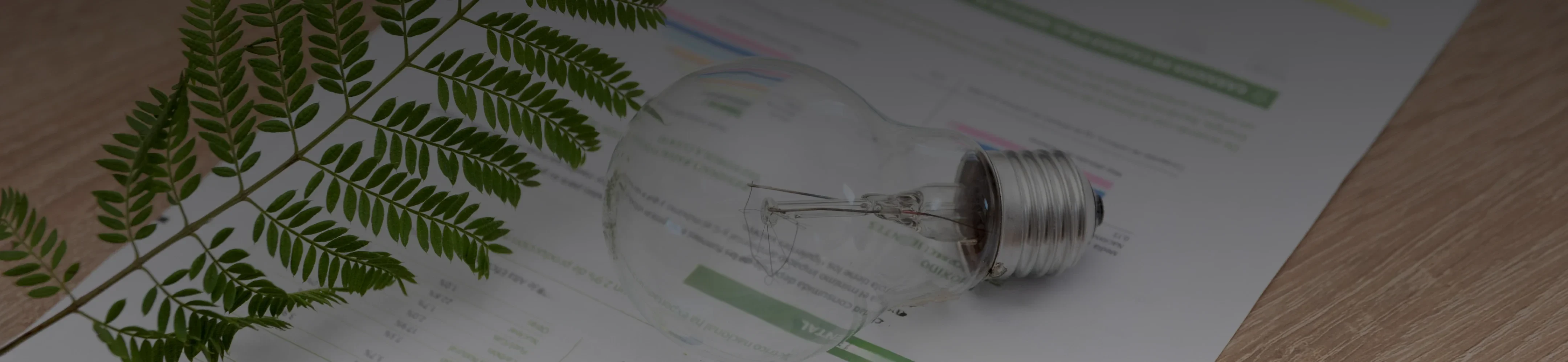 Sustainability Reports