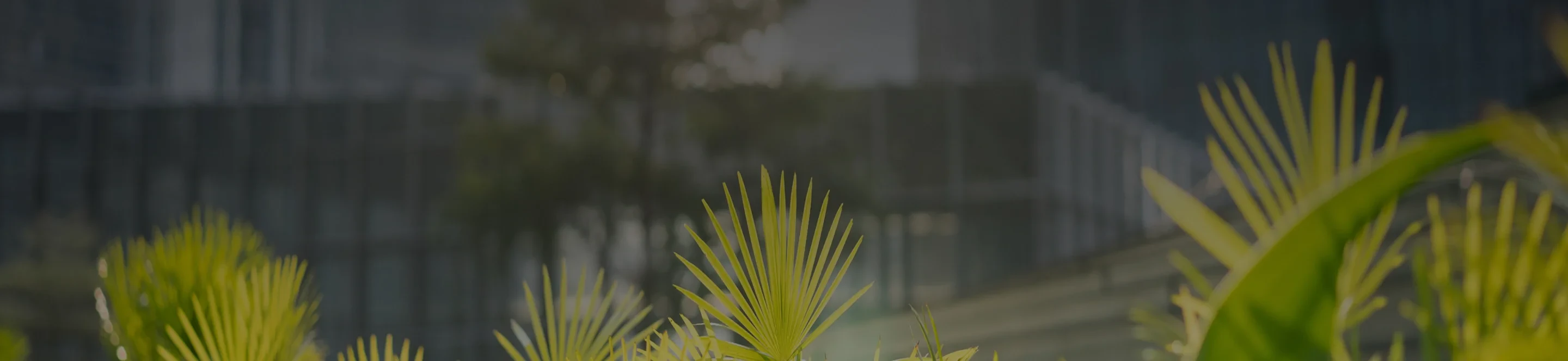 Sustainability Vision and Commitment